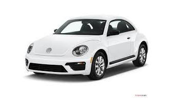 Beetle 2016-2017