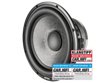 Сабвуфер Eton GRAPHIT 10-4 10 дюймів подвійна котушка 2x4 Ом 600 Вт RMS